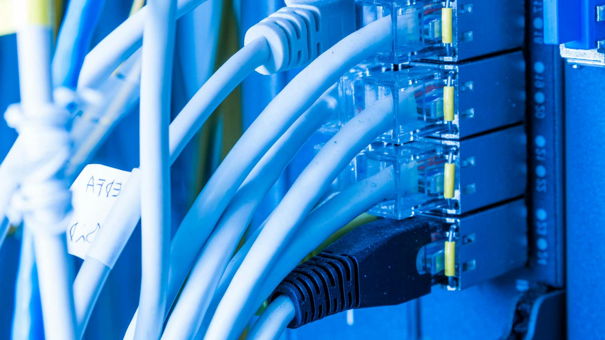 dreamstime_pavlinec_360631745