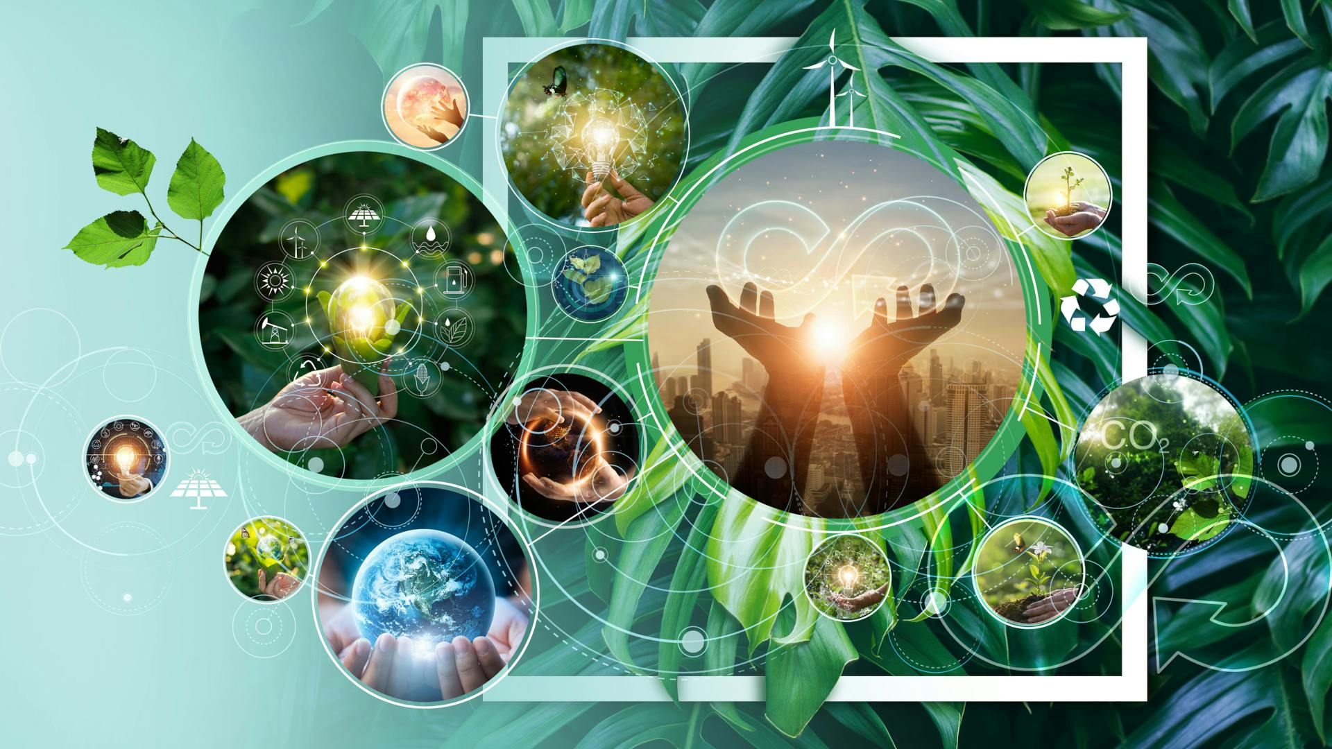 sustainable_dreamstime_l_254007506