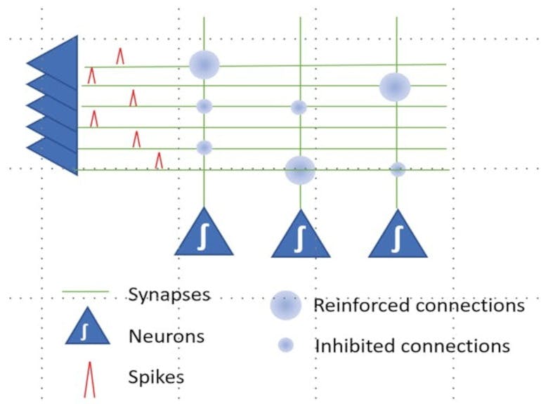 脈沖神經(jīng)網(wǎng)絡(luò)是面向時間的，具有 “spes”。