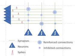 Spiking neural networks are time-oriented with “spikes.” Spiking neural networks are time-oriented with “spikes.”