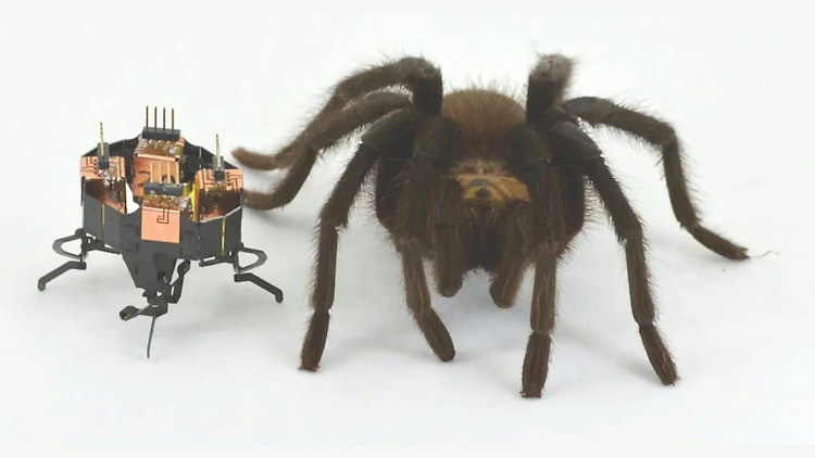 685ab738894e8bea9f5379cd Mclari Spider Promo