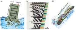 Transient probiotic-powered biobattery on a dissolvable paper substrat Transient probiotic-powered biobattery on a dissolvable paper substrat