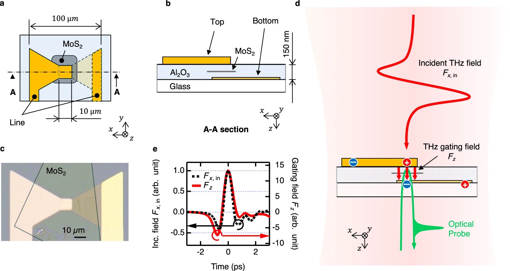 纳米天线将入射太赫兹电场转换为 MoS2 中的垂直超快门控场
