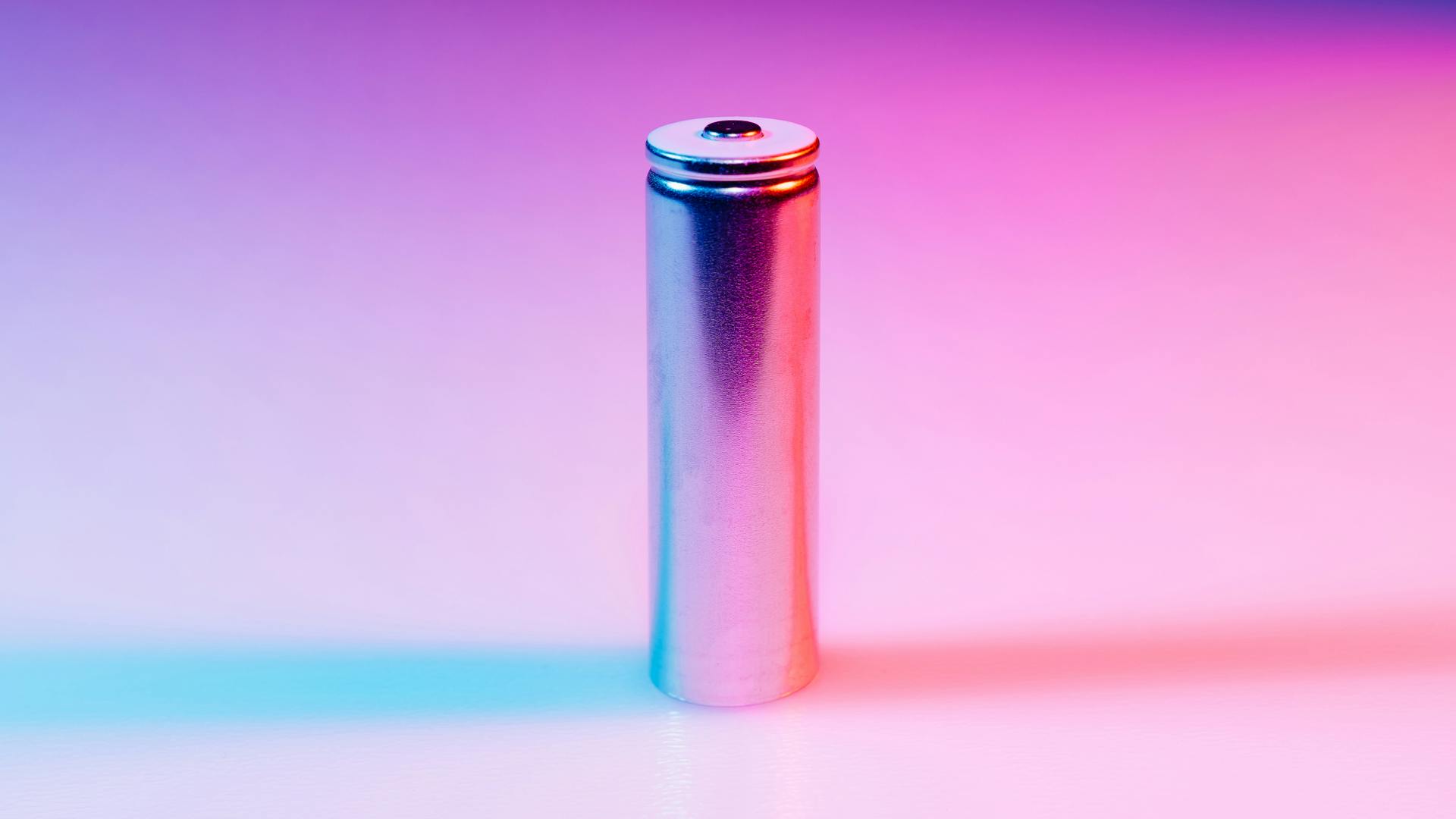 liion_dreamstime_l_211581765