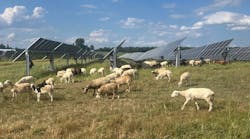 250915_newsmod_agrovoltaics_conference2promo 250915_newsmod_agrovoltaics_conference2promo