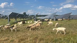 68e7bdde8fab19a8b4aeb4ee 250915 Newsmod Agrovoltaics Conference2promo 68e7bdde8fab19a8b4aeb4ee 250915 Newsmod Agrovoltaics Conference2promo