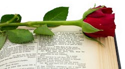 rose_dreamstime_l_25326319 rose_dreamstime_l_25326319