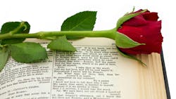 69249aa7299e1035cf89b3ee Rose Dreamstime L 25326319 69249aa7299e1035cf89b3ee Rose Dreamstime L 25326319