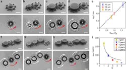 SEM images (top panels) and optical microscopy images (bottom panels) of metarotors acting as driving gears SEM images (top panels) and optical microscopy images (bottom panels) of metarotors acting as driving gears