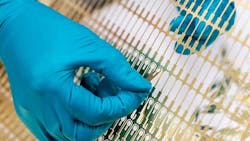 69615e21f42e48baa9db2431 Promoetchingmetalprototypes1 69615e21f42e48baa9db2431 Promoetchingmetalprototypes1