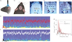 In vivo photo-patterns (e-tattoo) for EEG In vivo photo-patterns (e-tattoo) for EEG