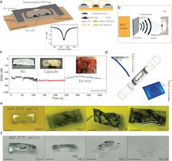 Process flow for the functional coating on 000 gelatin capsules; sheet resistance Process flow for the functional coating on 000 gelatin capsules; sheet resistance