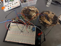 Memory circuit was implemented using fungal memristors and the classic prototyping board for leaded components and discrete wire leads Memory circuit was implemented using fungal memristors and the classic prototyping board for leaded components and discrete wire leads