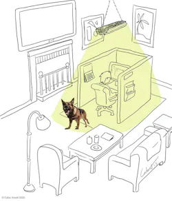4_dog 4_dog