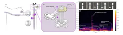 Overview of the SoundOff tag