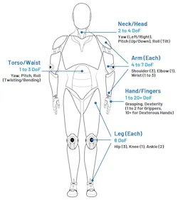 Humanoid motor control: DoF challenges