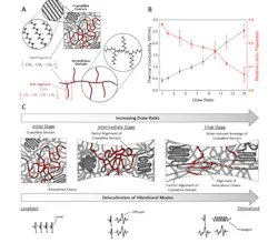 Structural alignment under strain and the resulting vibrational delocalization in olefin block copolymer fibers