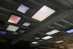 50 Raspberry Pis controlling 50 screens at video festival