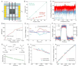 Calibration of the calorimetric sensor