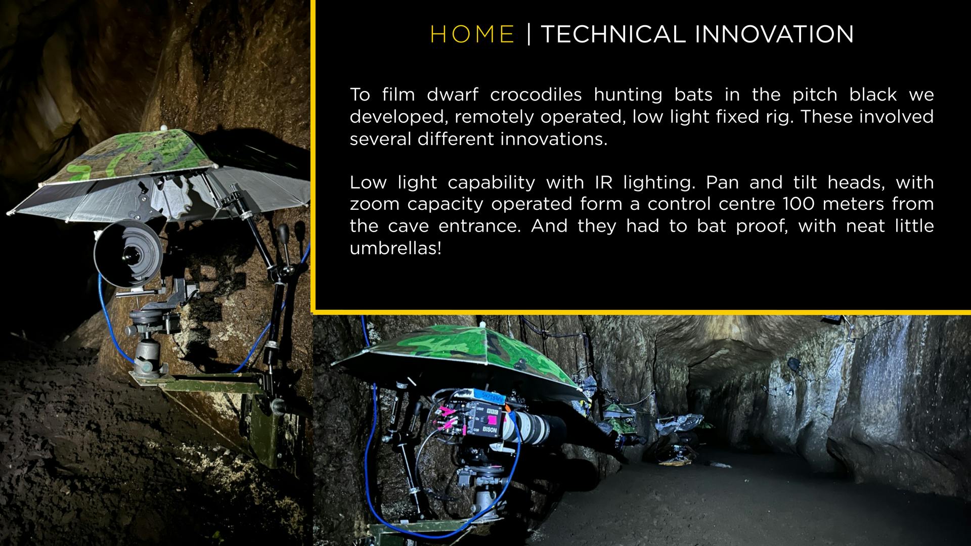 The custom robotic camera mounts holding retrofitted infrared cameras in a pitch-black cave in Gabon.